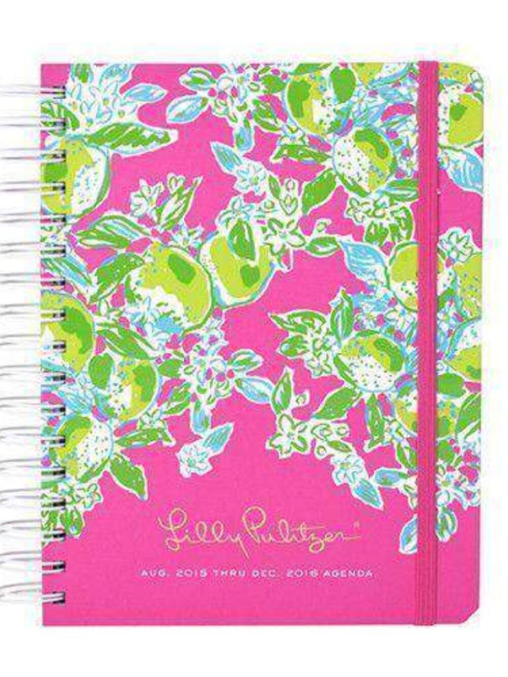 Lilly Pulitzer Agenda Book Aug 2016 - Dec 2017 Great for Scrapbooking